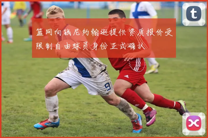 篮网向钱尼约翰逊提供资质报价受限制自由球员身份正式确认